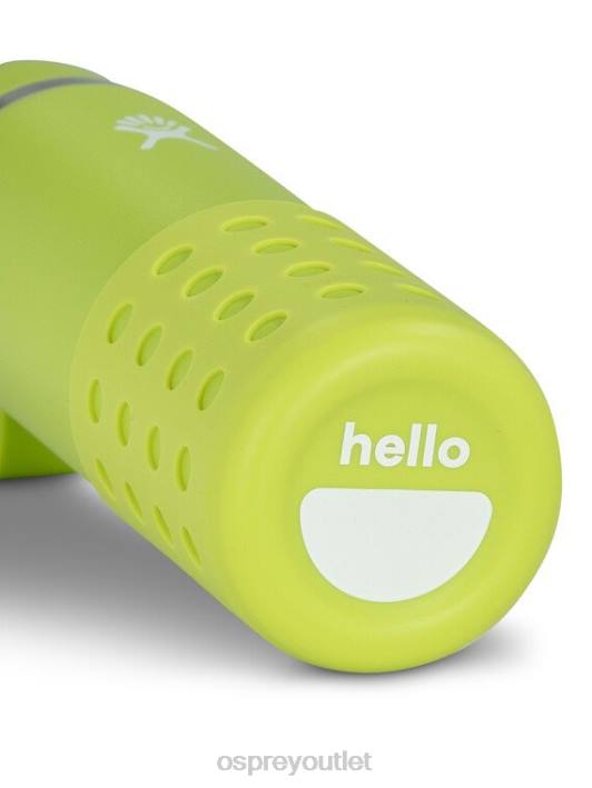 Osprey HYDRO FLASK | BOTTLE-20 OZ BRANDED GOODS Accessory Kids SEAGRASS GREEN PTFP498