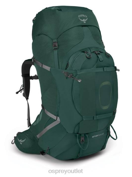 Osprey AETHER PLUS 100 BACKPACKING Backpack Men AXO GREEN PTFP80