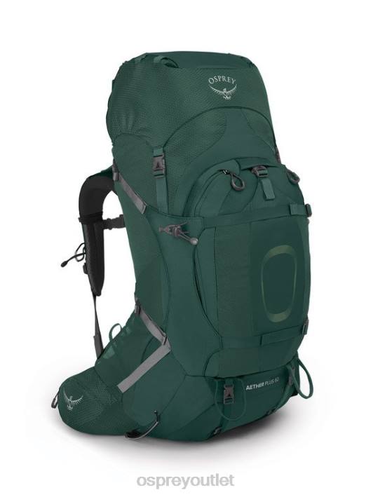 Osprey AETHER PLUS 60 BACKPACKING Backpack Men AXO GREEN PTFP67