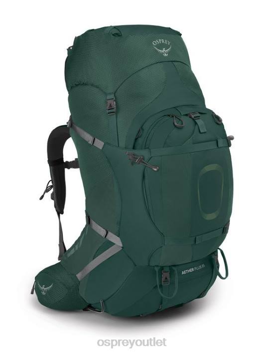 Osprey AETHER PLUS 85 BACKPACKING Backpack Men AXO GREEN PTFP78