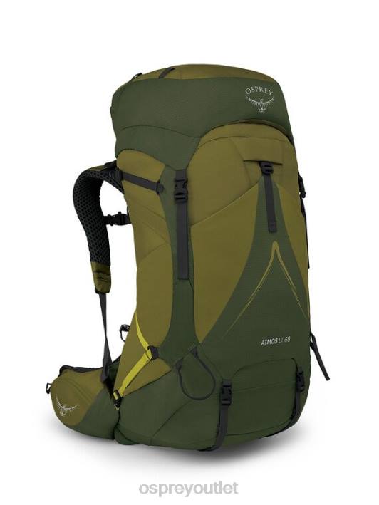 Osprey ATMOS AG LT 65 BACKPACKING Backpack Men SCENIC VALLEY GREEN PEPPERCORN PTFP2