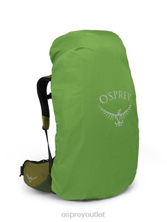 Osprey ATMOS AG LT 65 BACKPACKING Backpack Men SCENIC VALLEY GREEN PEPPERCORN PTFP2