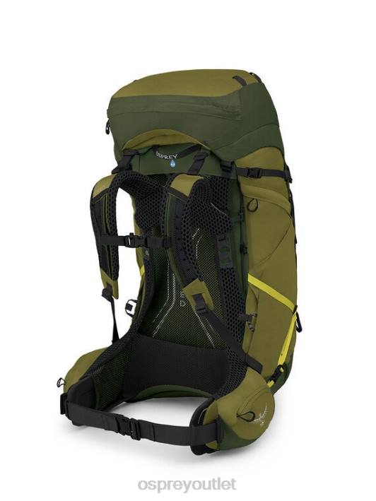Osprey ATMOS AG LT 65 BACKPACKING Backpack Men SCENIC VALLEY GREEN PEPPERCORN PTFP2