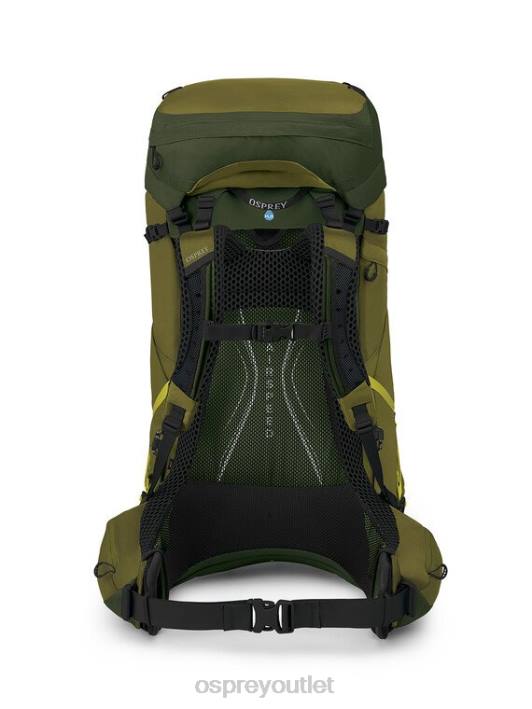 Osprey ATMOS AG LT 65 BACKPACKING Backpack Men SCENIC VALLEY GREEN PEPPERCORN PTFP2