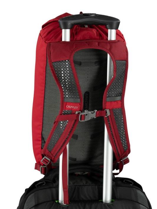 Osprey DAYLITE CINCH EVERYDAY Backpack Unisex ESCAPADE GREEN BAIKAL GREEN PTFP378