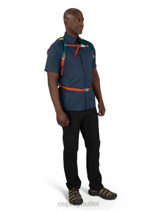 Osprey DAYLITE PLUS EVERYDAY Backpack Unisex PALM FOLIAGE PRINT PTFP382