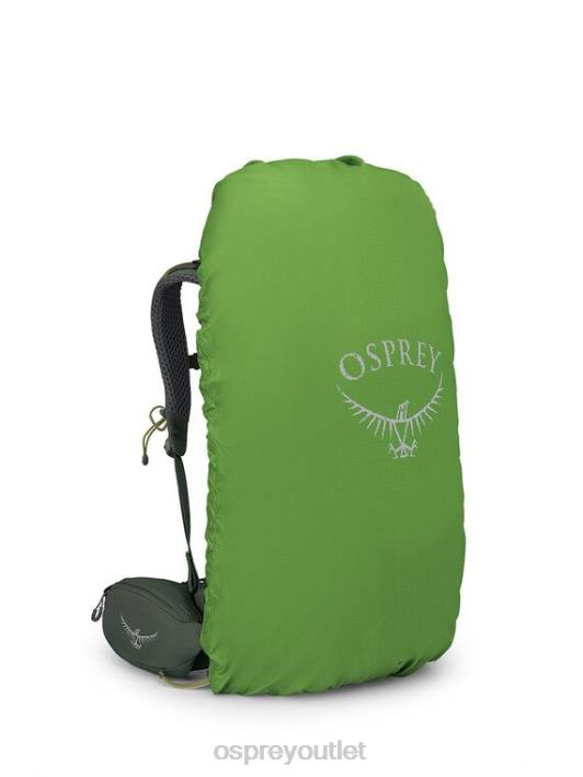 Osprey KESTREL 38 BACKPACKING Backpack Unisex BONSAI GREEN PTFP224