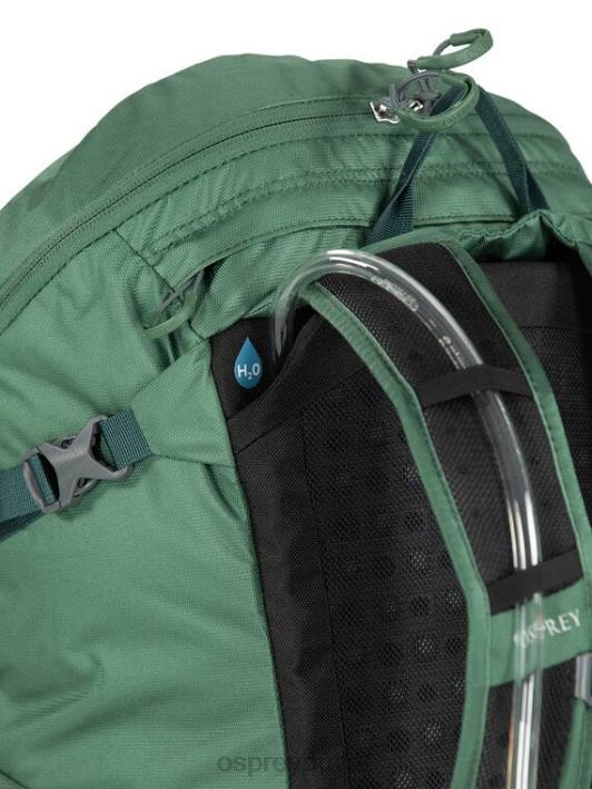 Osprey SKARAB 30 BIKING Backpack Unisex TUNDRA GREEN PTFP234