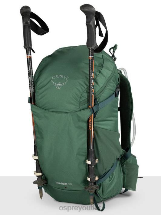 Osprey SKARAB 30 BIKING Backpack Unisex TUNDRA GREEN PTFP234