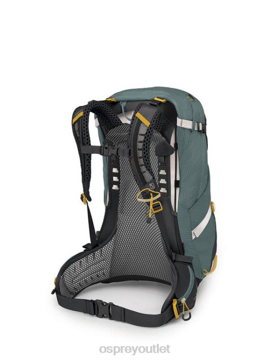 Osprey SIRRUS 34 DAY HIKING Backpack Women SUCCULENT GREEN PTFP291