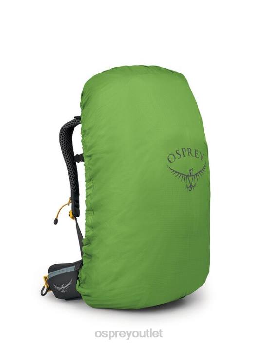 Osprey SIRRUS 36 LIGHT BACKPACKING | DAY HIKING Backpack Women SUCCULENT GREEN PTFP295