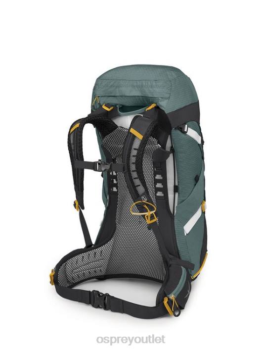 Osprey SIRRUS 36 LIGHT BACKPACKING | DAY HIKING Backpack Women SUCCULENT GREEN PTFP295