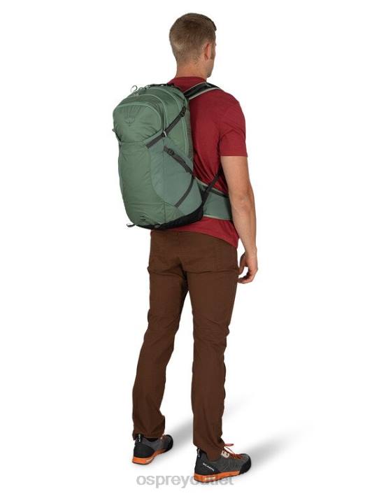 Osprey SPORTLITE 25 HIKING Backpack Unisex PINE LEAF GREEN PTFP263