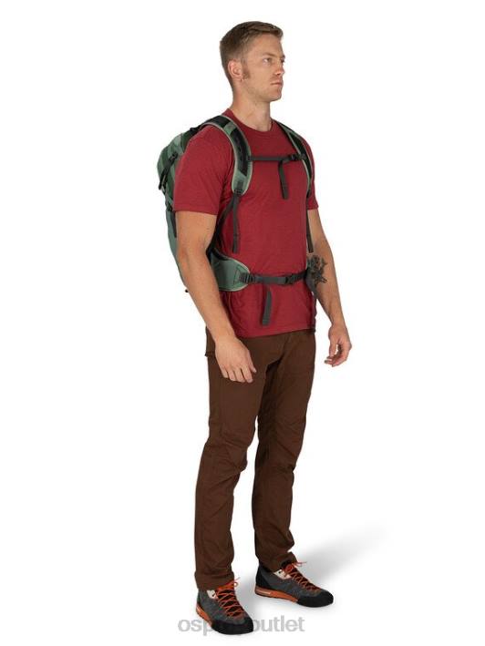Osprey SPORTLITE 25 HIKING Backpack Unisex PINE LEAF GREEN PTFP263
