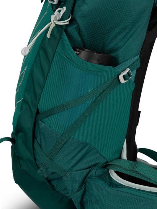Osprey TEMPEST 30 DAY HIKING Backpack Women VIOLAC PURPLE PTFP345