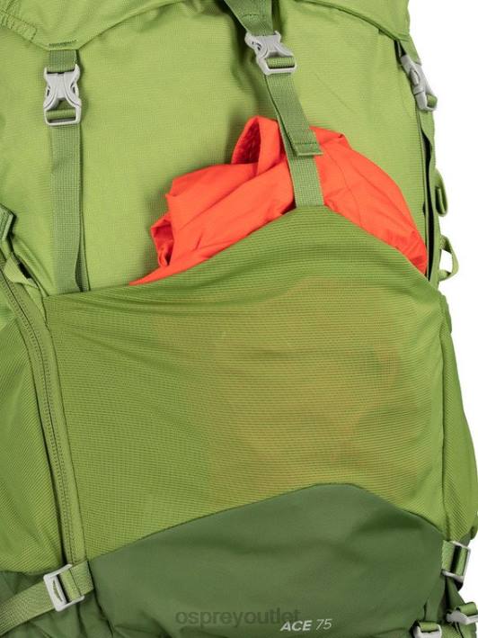 Osprey ACE 75 BACKPACKING (12-17 Y/O) Backpack Kids VENTURE GREEN PTFP487