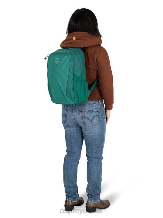 Osprey REMNANTS STUDENT PACK LIFESTYLE Backpack Unisex NIGHT JUNGLE BLUE PTFP489